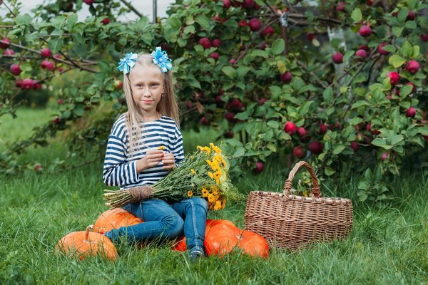 Quelles plantes pour un mur végétal intérieur sans entretien?